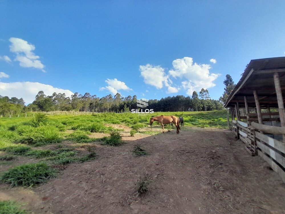 Terreno à venda, 10480 - Foto 7
