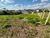 Terreno, 1 hectares - Foto 11