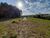 Terreno, 1 hectares - Foto 2