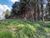 Terreno, 1 hectares - Foto 15