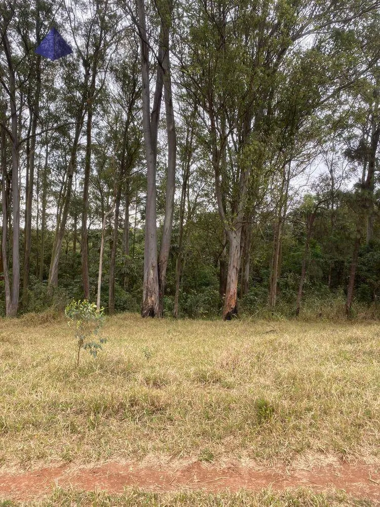 Terreno, 125 m² - Foto 1