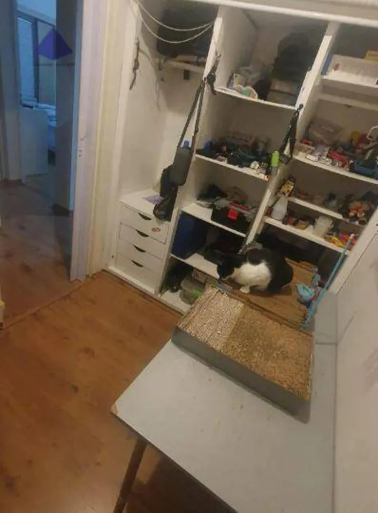 Apartamento, 4 quartos, 116 m² - Foto 7