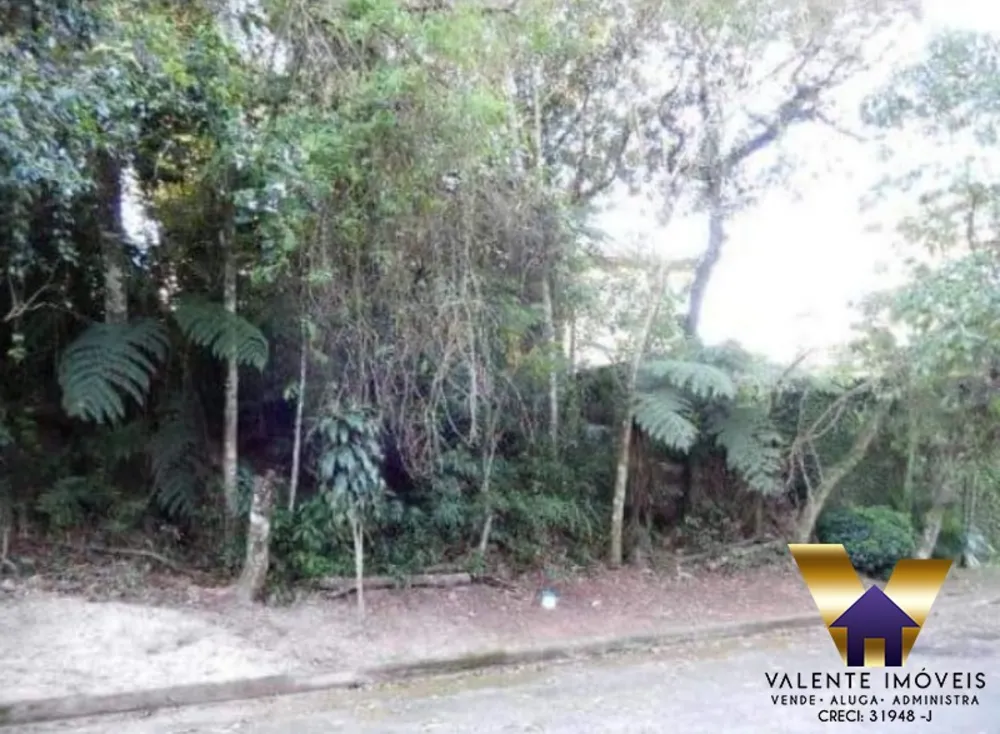 Terreno, 300 m² - Foto 4