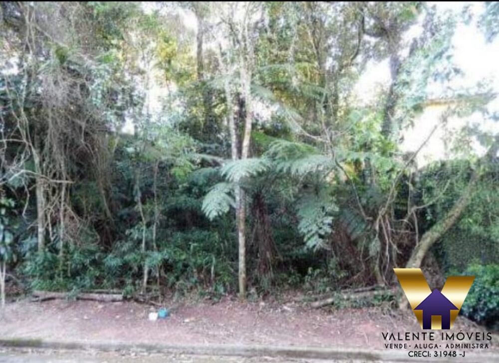 Terreno, 300 m² - Foto 1