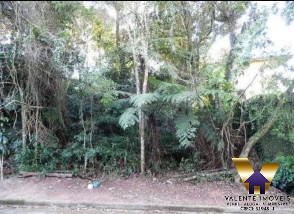 Terreno, 300 m² - Foto 1