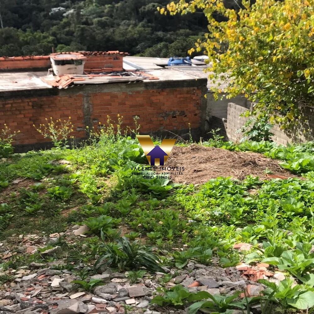 Terreno, 250 m² - Foto 4