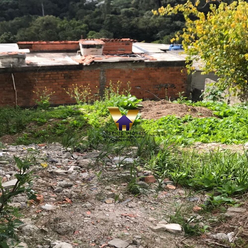 Terreno, 250 m² - Foto 2