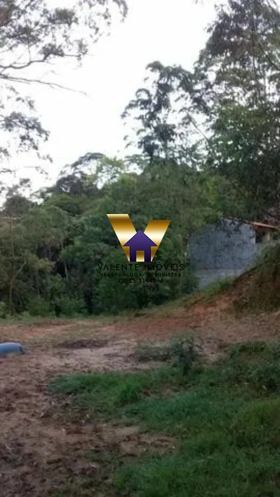 Chácara, 1 quarto, 2438 m² - Foto 10