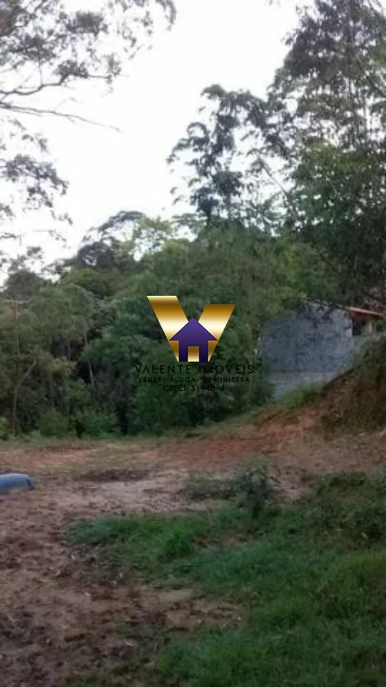 Chácara, 1 quarto, 2438 m² - Foto 5