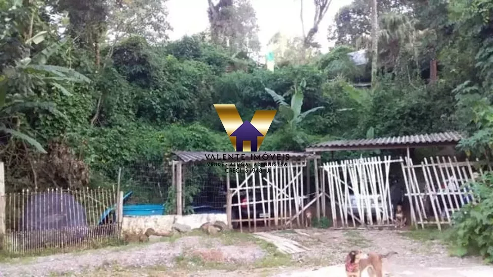 Chácara, 1 quarto, 2438 m² - Foto 3