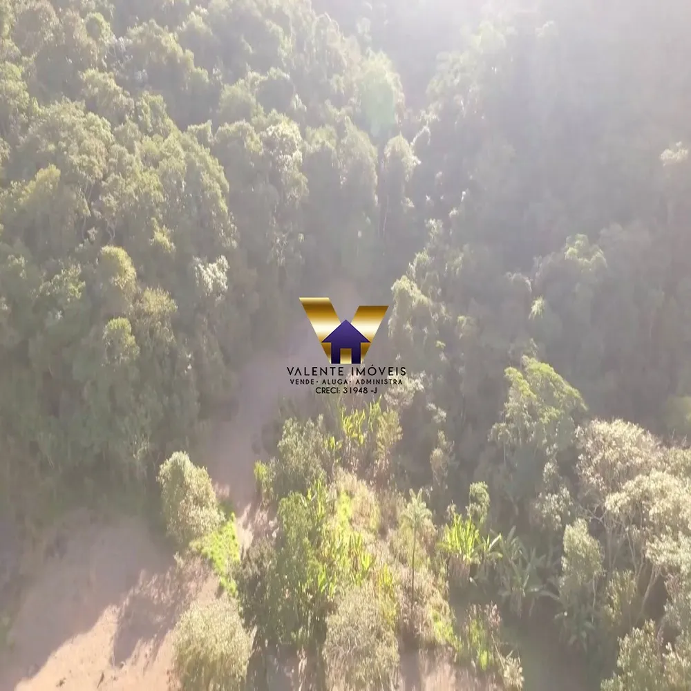 Fazenda, 38034 hectares - Foto 12