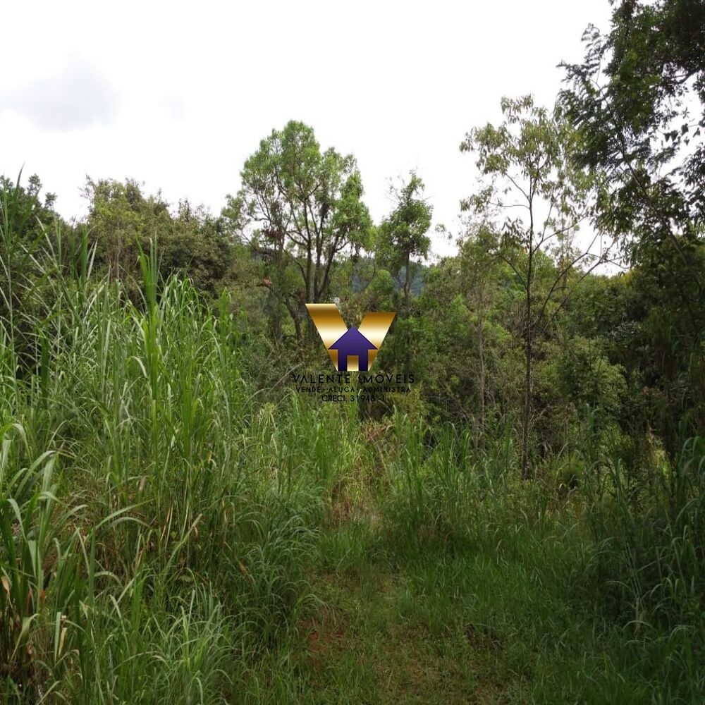 Chácara à venda - Foto 5