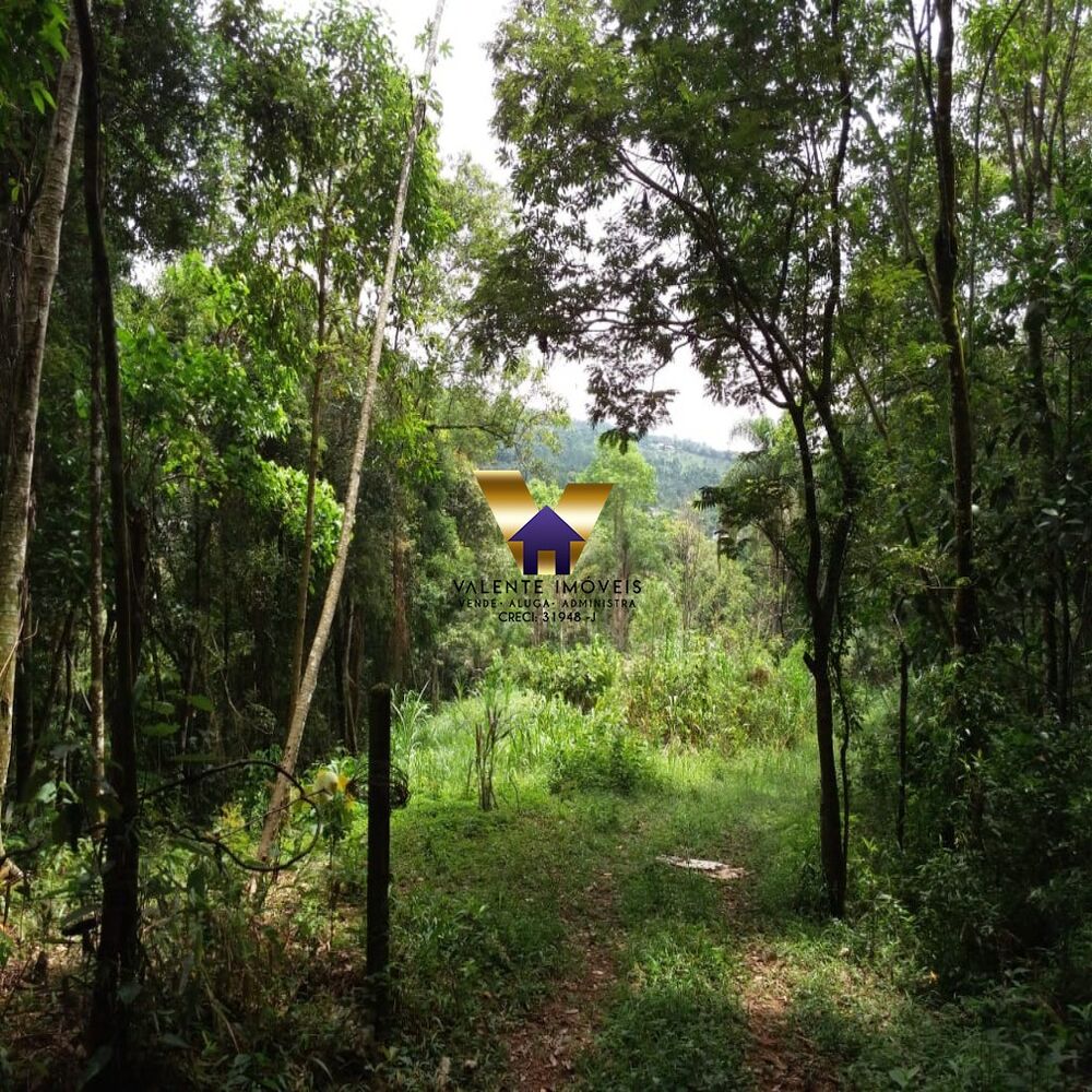 Chácara à venda - Foto 3