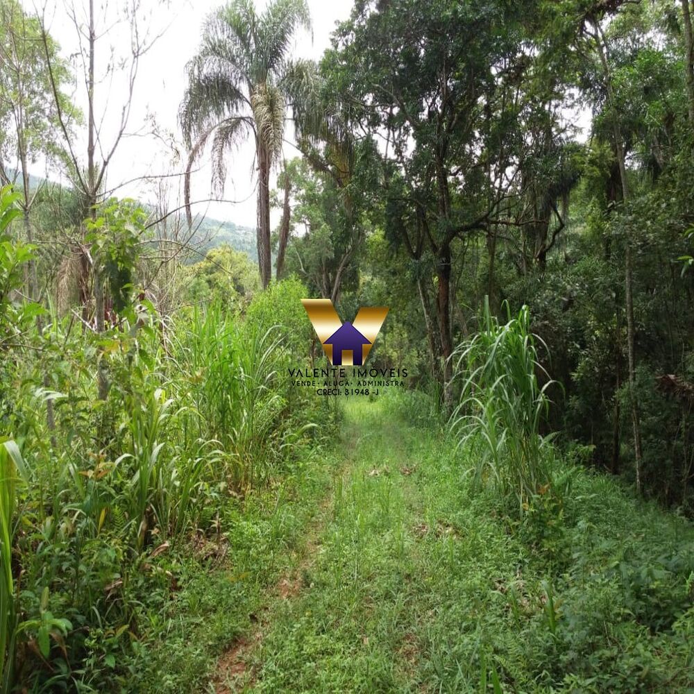 Chácara à venda - Foto 6