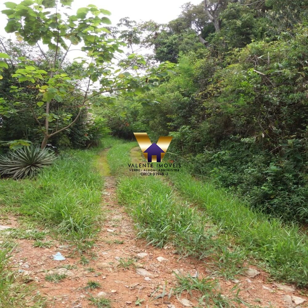 Chácara à venda - Foto 9