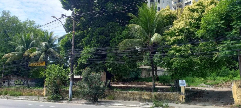 Terreno, 6000 m² - Foto 3