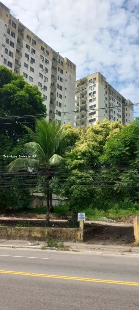 Terreno, 6000 m² - Foto 1