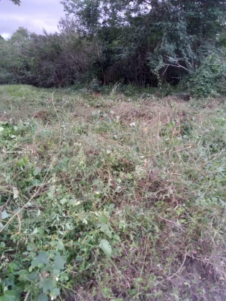 Terreno, 360 m² - Foto 2