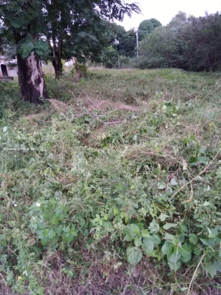 Terreno, 360 m² - Foto 4
