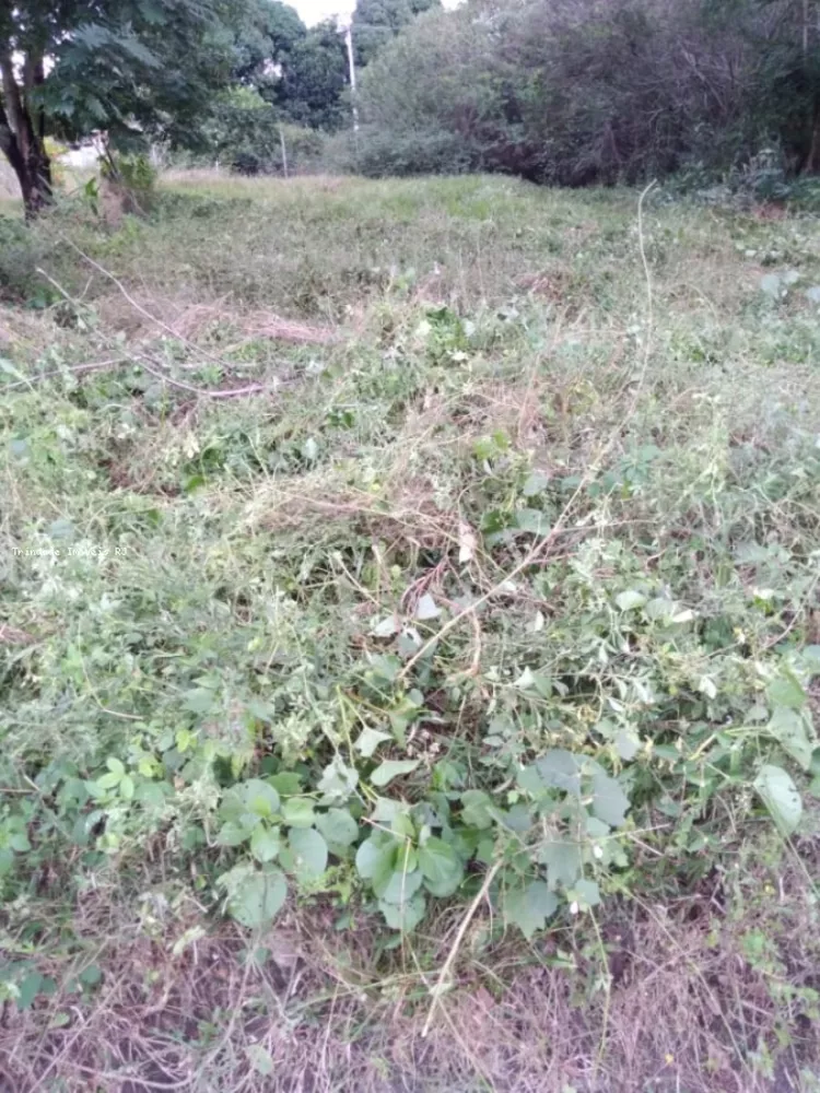 Terreno, 360 m² - Foto 1