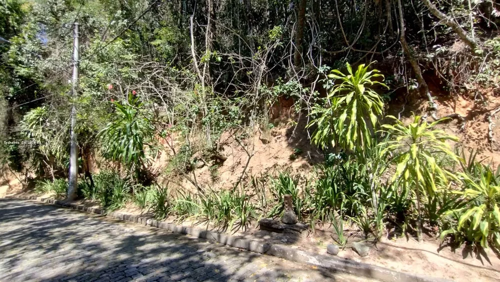 Terreno, 1292 m² - Foto 2