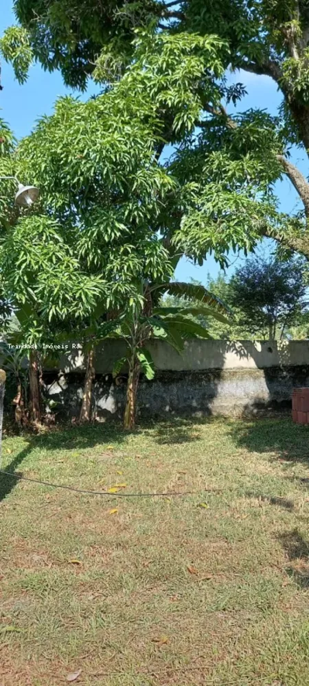 Sítio, 2 quartos, 600 m² - Foto 19