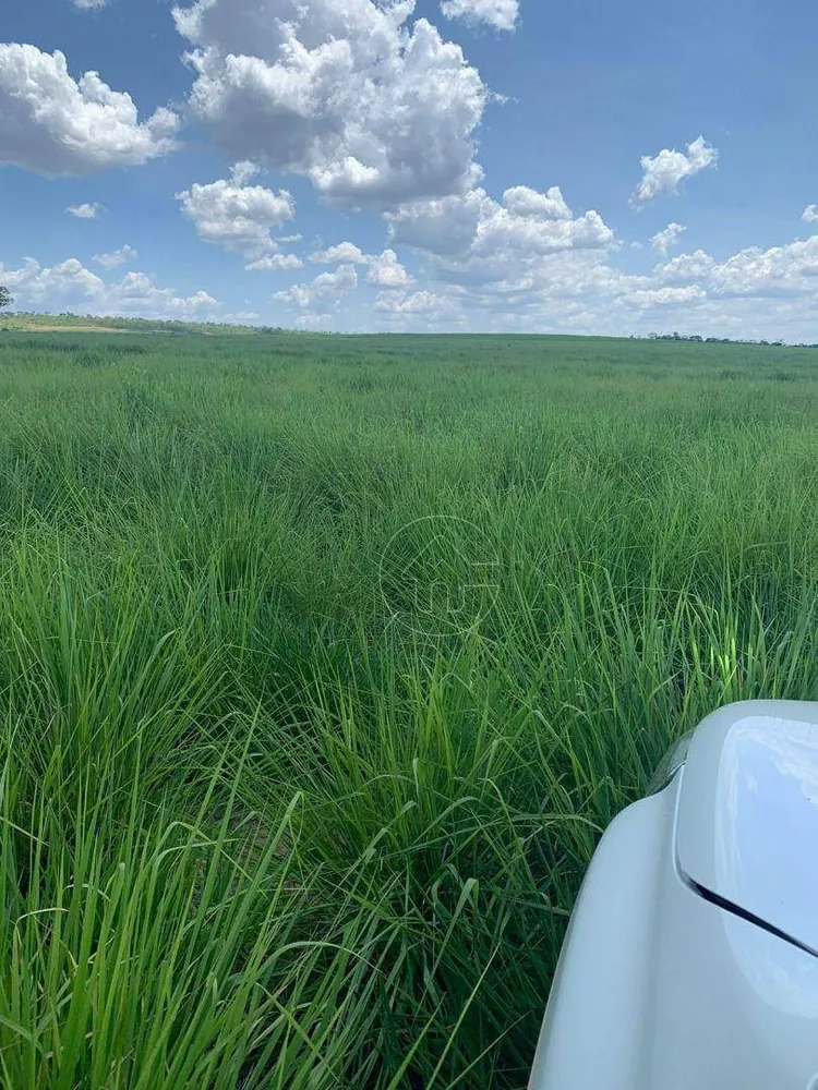 Fazenda à venda, 18270000M2 - Foto 4