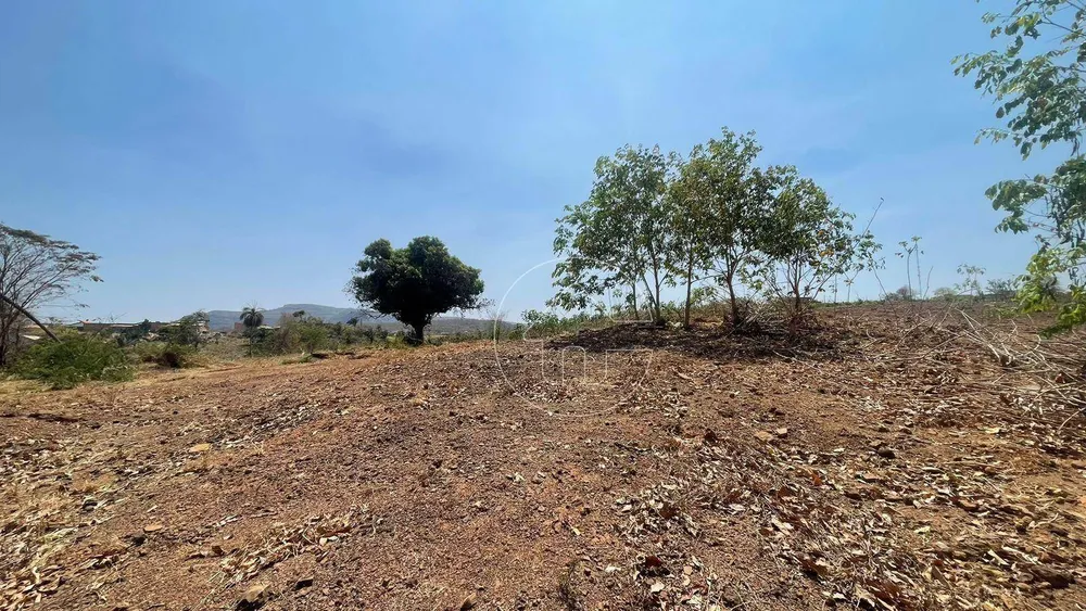 Terreno, 539 m² - Foto 5