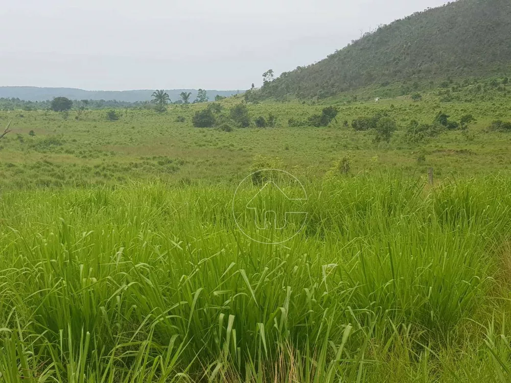 Fazenda à venda, 50430000M2 - Foto 2