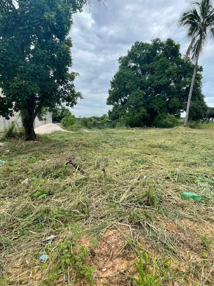 Terreno, 288 m² - Foto 2