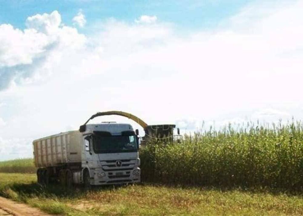 Fazenda à venda, 118290000M2 - Foto 2