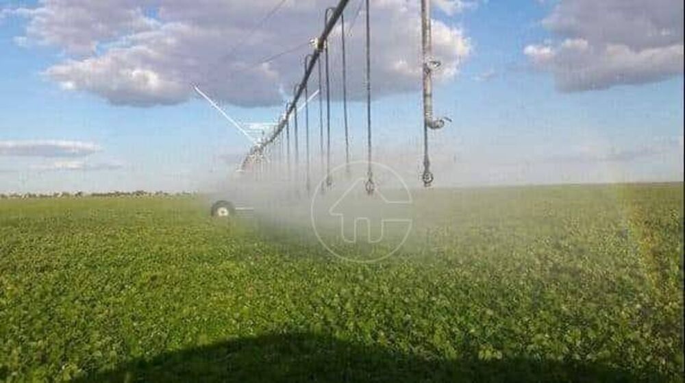 Fazenda à venda, 118290000M2 - Foto 6