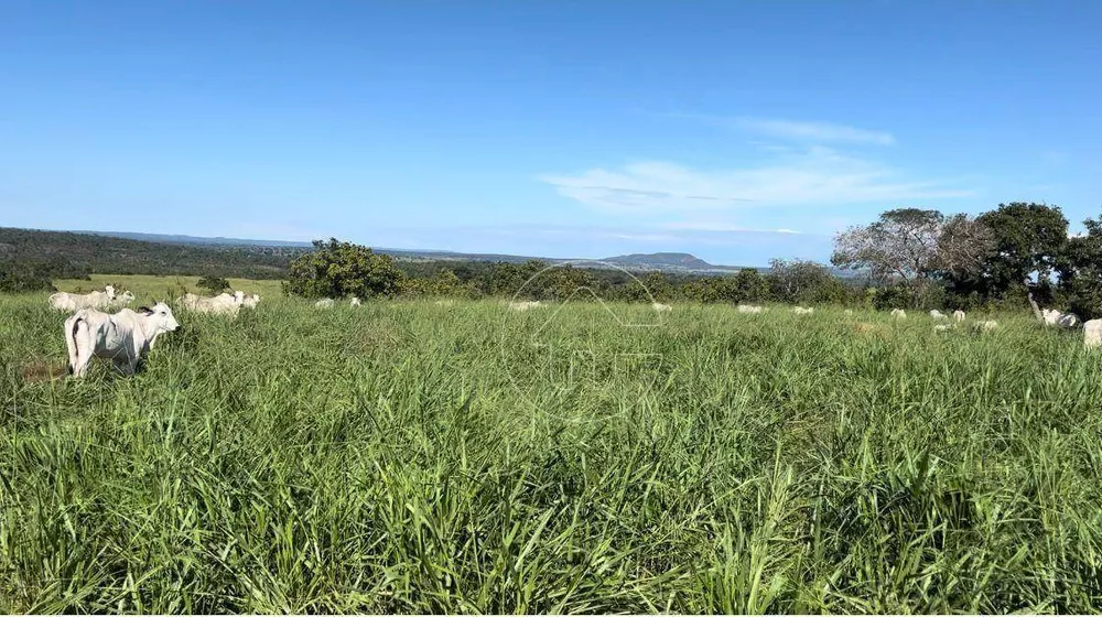 Fazenda à venda, 22160000M2 - Foto 1