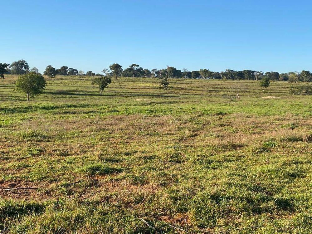Fazenda à venda, 1355200M2 - Foto 2
