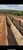 Fazenda, 136 hectares - Foto 3