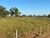 Fazenda, 136 hectares - Foto 1