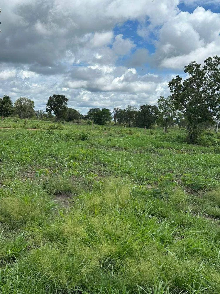 Fazenda à venda, 17230000M2 - Foto 1