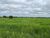 Fazenda-Sítio-Chácara, 4291 hectares - Foto 4
