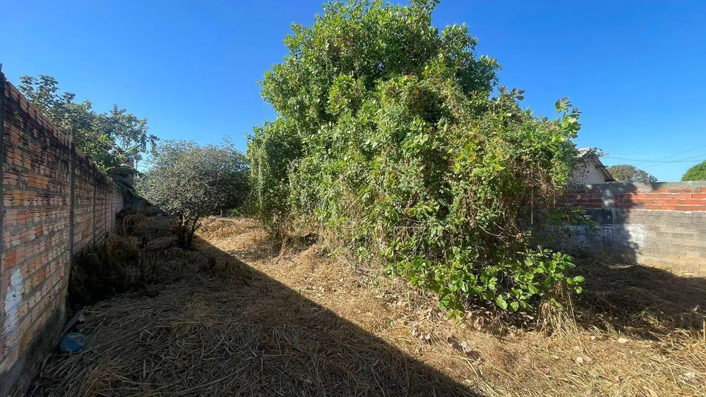 Terreno, 375 m² - Foto 5