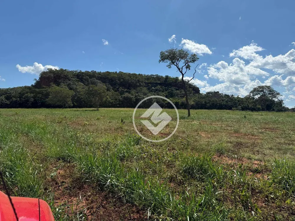 Fazenda, 218 hectares - Foto 2