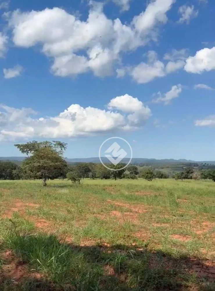 Fazenda, 218 hectares - Foto 3