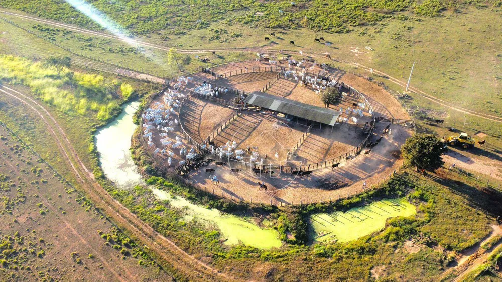 Fazenda à venda, 61350000M2 - Foto 3