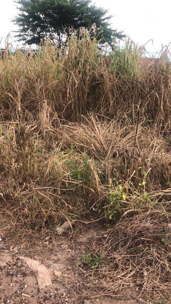 Terreno, 253 m² - Foto 2