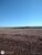 Fazenda, 7200 hectares - Foto 3