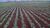 Fazenda, 7200 hectares - Foto 2