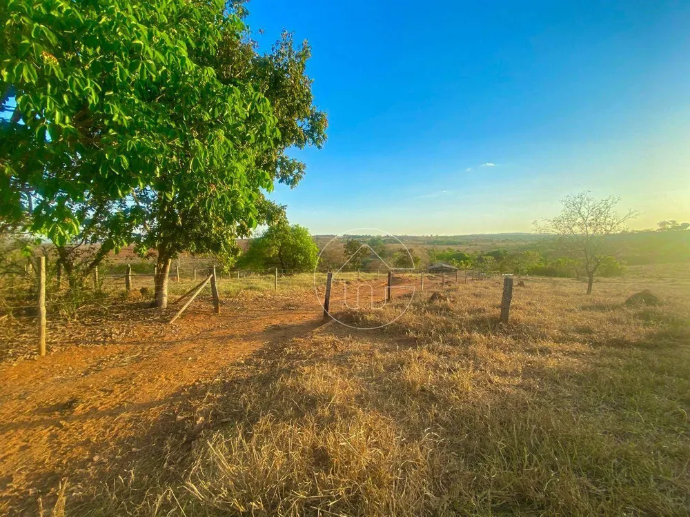 Chácara, 4 quartos, 10 hectares - Foto 8