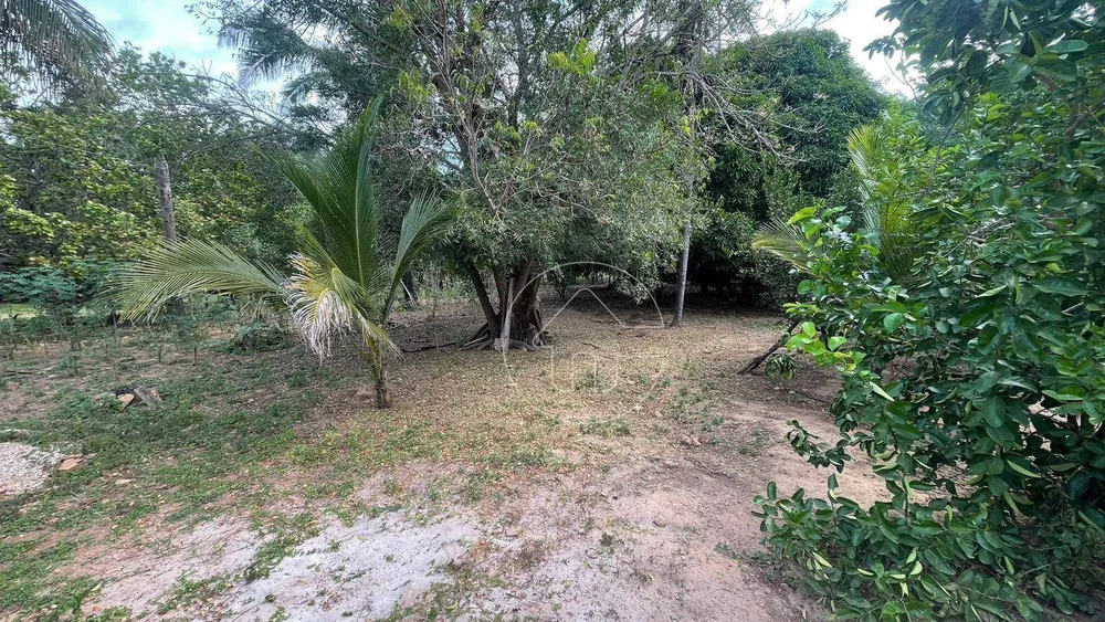 Chácara, 4 quartos, 2 hectares - Foto 4