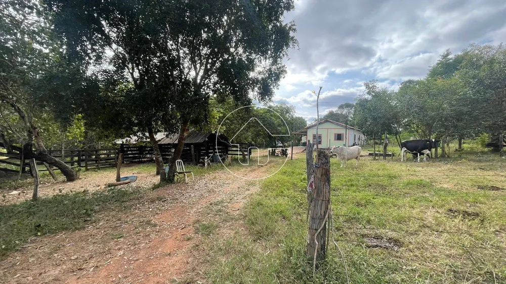 Chácara, 4 quartos, 2 hectares - Foto 1