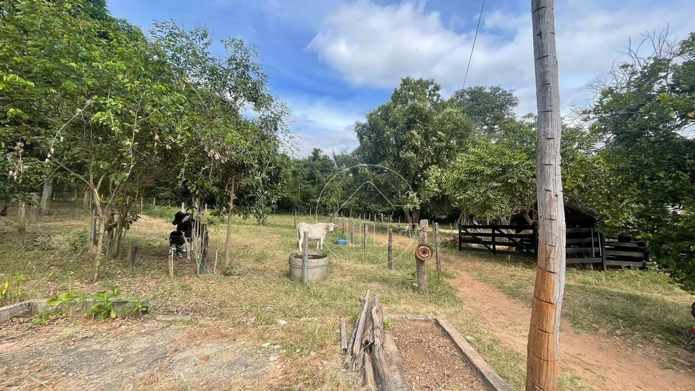 Chácara, 4 quartos, 2 hectares - Foto 3