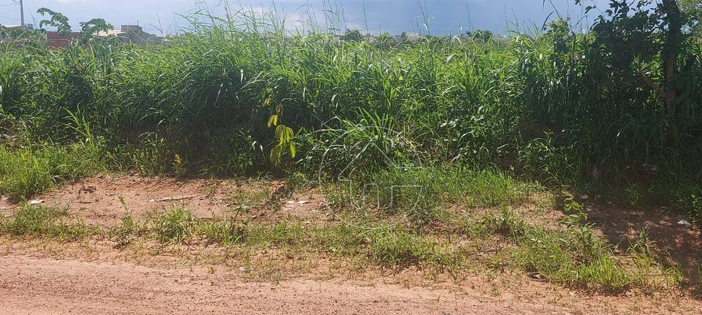 Terreno, 300 m² - Foto 3